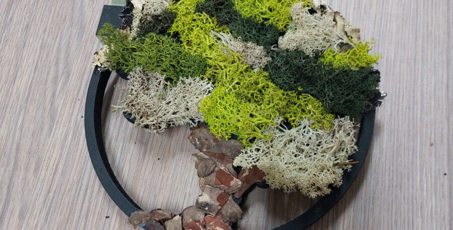 Levensboom bekleden | november 2025